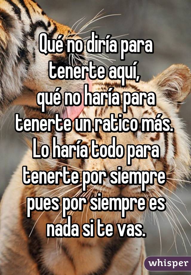 Qué no diría para tenerte aquí, 
qué no haría para tenerte un ratico más. 
Lo haría todo para tenerte por siempre 
pues por siempre es nada si te vas.