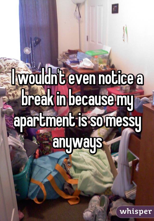 I wouldn't even notice a break in because my apartment is so messy anyways