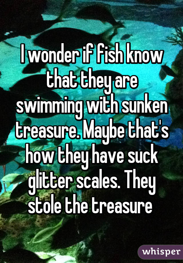 I wonder if fish know that they are swimming with sunken treasure. Maybe that's how they have suck glitter scales. They stole the treasure 