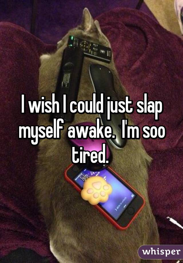 I wish I could just slap myself awake.  I'm soo tired. 