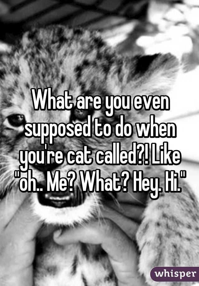 What are you even supposed to do when you're cat called?! Like "oh.. Me? What? Hey. Hi."