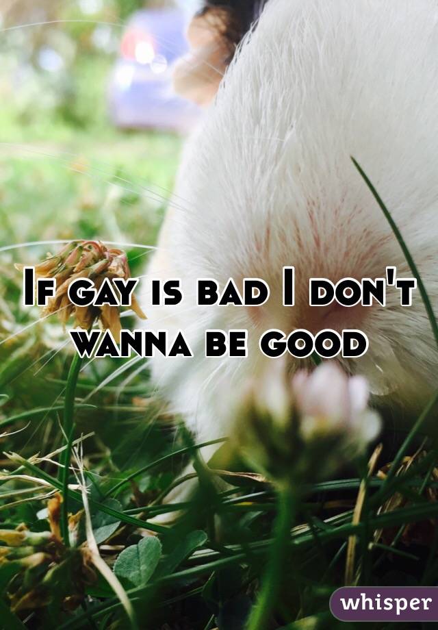 If gay is bad I don't wanna be good 