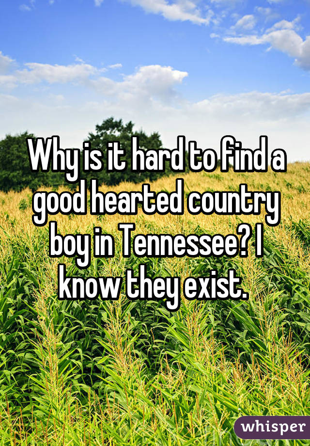 Why is it hard to find a good hearted country boy in Tennessee? I know they exist. 