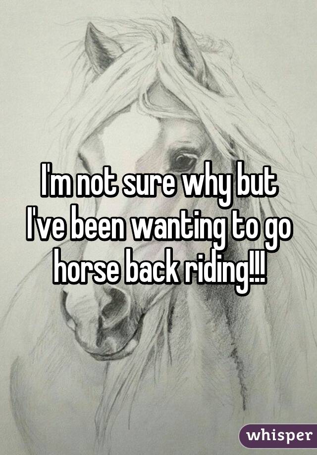 I'm not sure why but I've been wanting to go horse back riding!!!