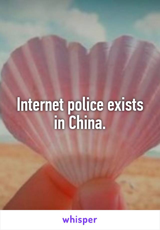 Internet police exists in China.