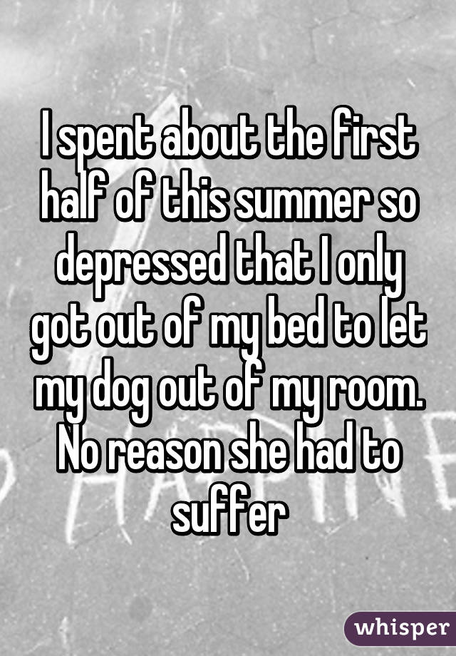 I spent about the first half of this summer so depressed that I only got out of my bed to let my dog out of my room.
No reason she had to suffer