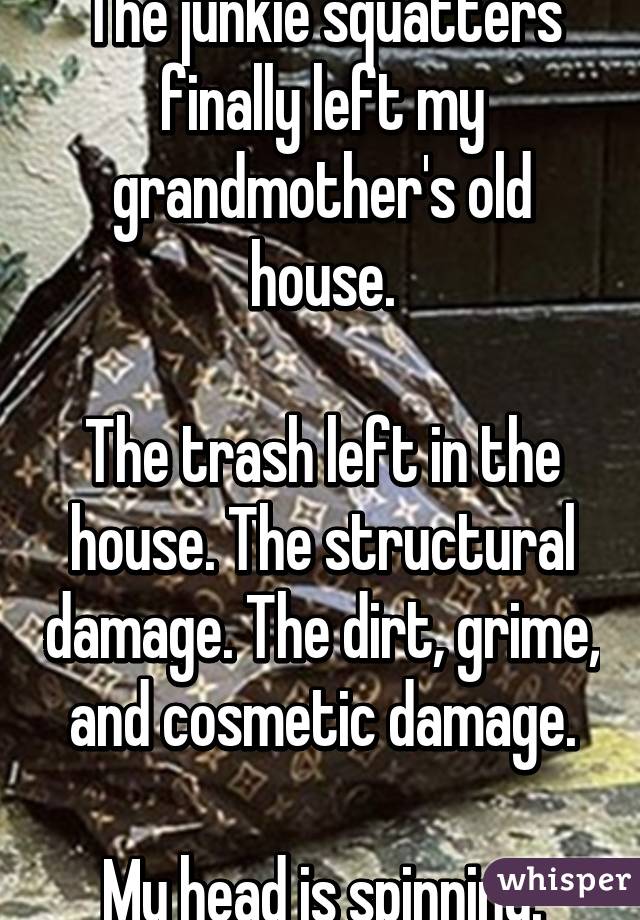 The junkie squatters finally left my grandmother's old house.

The trash left in the house. The structural damage. The dirt, grime, and cosmetic damage.

My head is spinning.