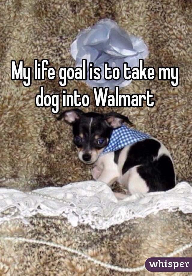 My life goal is to take my dog into Walmart