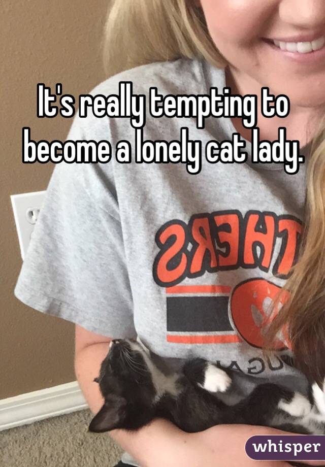 It's really tempting to become a lonely cat lady. 