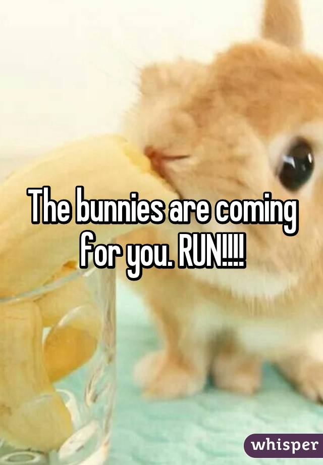 The bunnies are coming for you. RUN!!!!