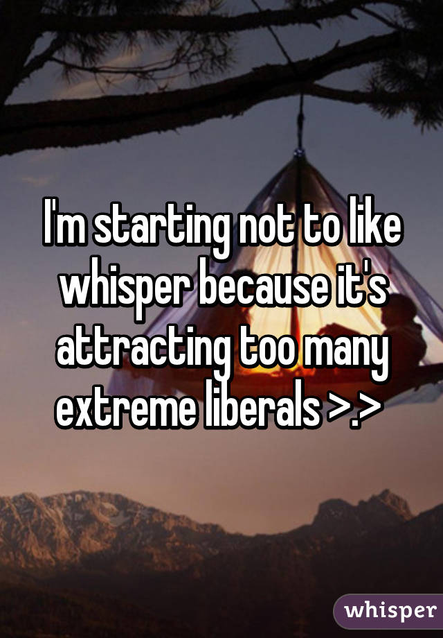 I'm starting not to like whisper because it's attracting too many extreme liberals >.> 