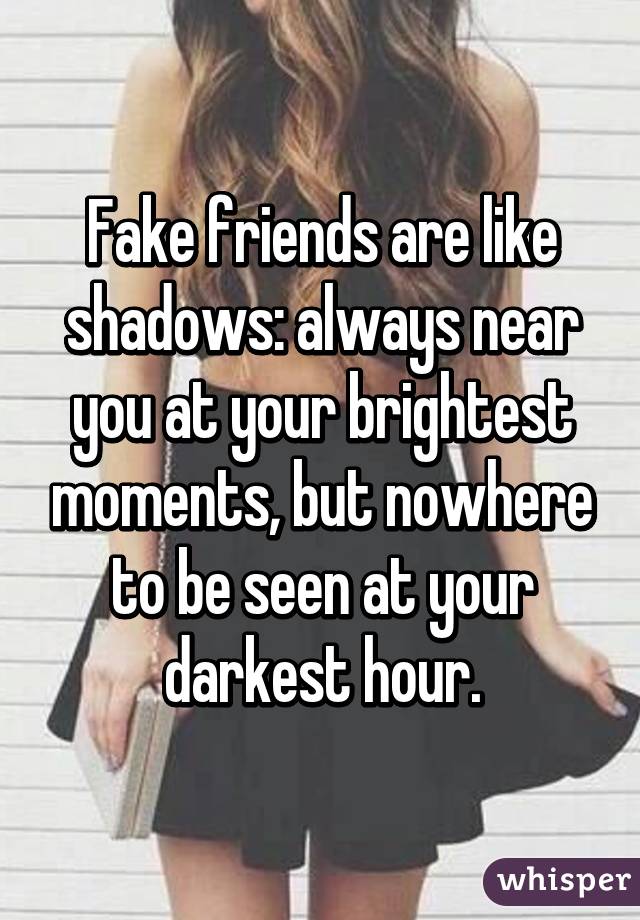 Fake friends are like shadows: always near you at your brightest moments, but nowhere to be seen at your darkest hour.