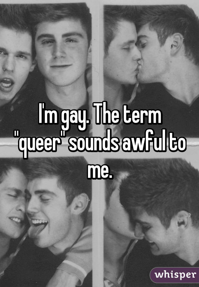 I'm gay. The term "queer" sounds awful to me.