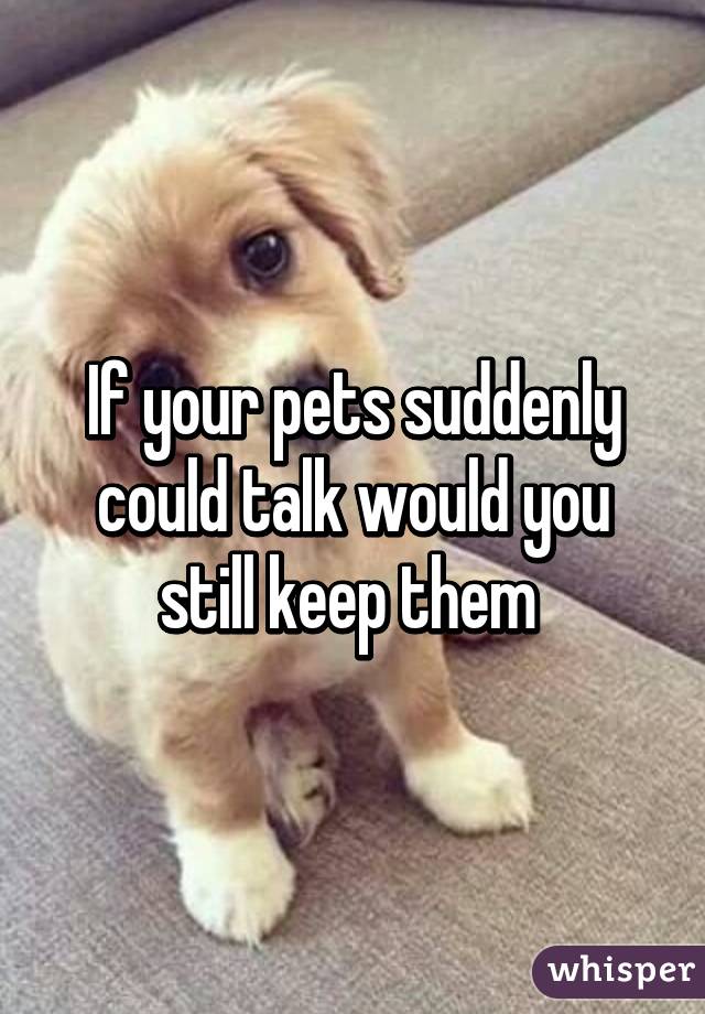 If your pets suddenly could talk would you still keep them 