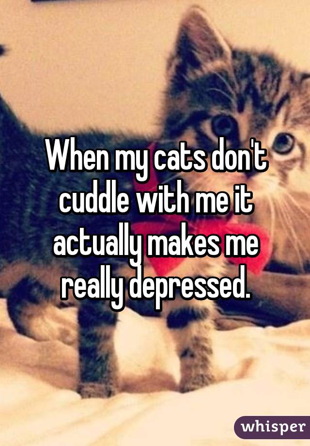 When my cats don't cuddle with me it actually makes me really depressed.