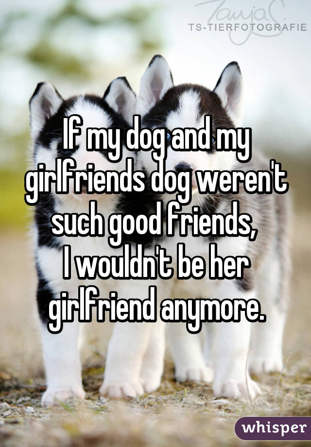 If my dog and my girlfriends dog weren't such good friends, 
I wouldn't be her girlfriend anymore.