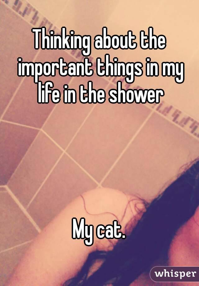 Thinking about the important things in my life in the shower




My cat.