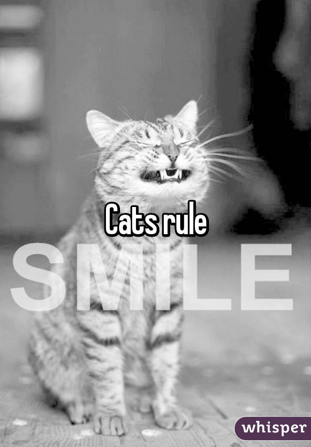 Cats rule