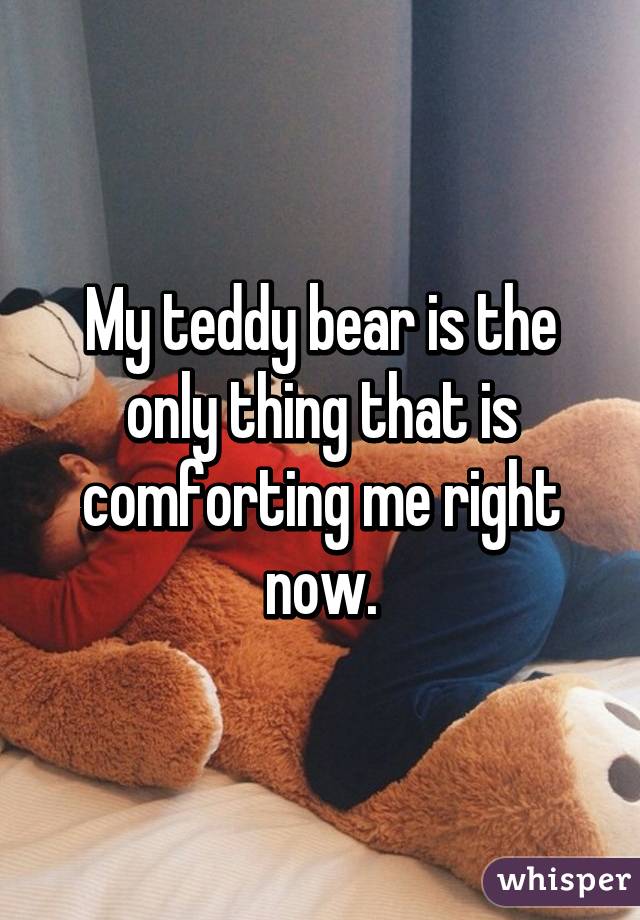 My teddy bear is the only thing that is comforting me right now.