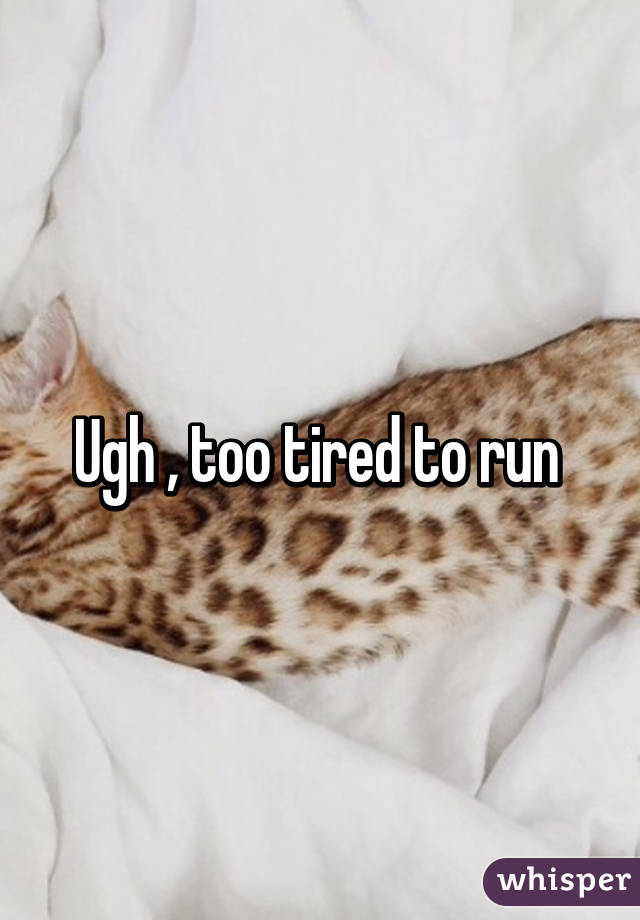 Ugh , too tired to run 