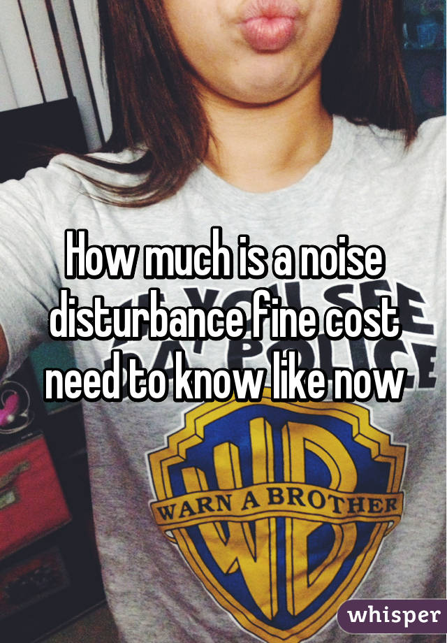 How much is a noise disturbance fine cost need to know like now