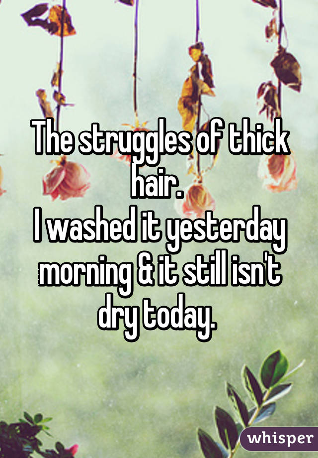 The struggles of thick hair. 
I washed it yesterday morning & it still isn't dry today. 