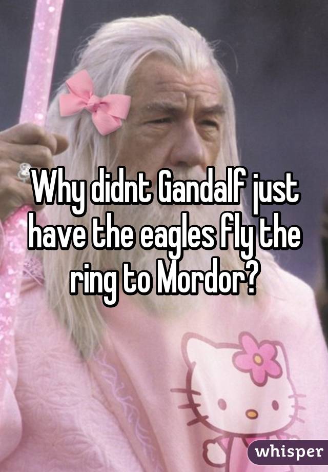 Why didnt Gandalf just have the eagles fly the ring to Mordor?