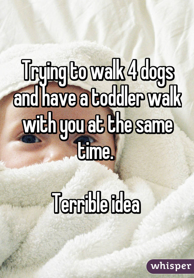 Trying to walk 4 dogs and have a toddler walk with you at the same time. 

Terrible idea 