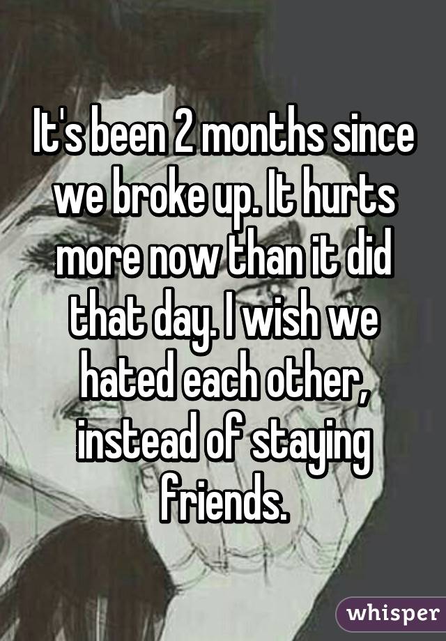 It's been 2 months since we broke up. It hurts more now than it did that day. I wish we hated each other, instead of staying friends.