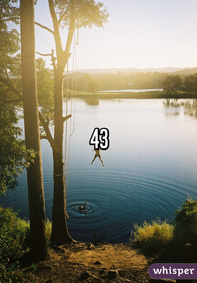 43