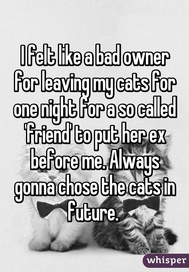 I felt like a bad owner for leaving my cats for one night for a so called 'friend' to put her ex before me. Always gonna chose the cats in future. 