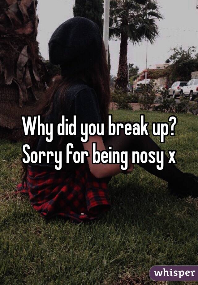 Why did you break up? Sorry for being nosy x