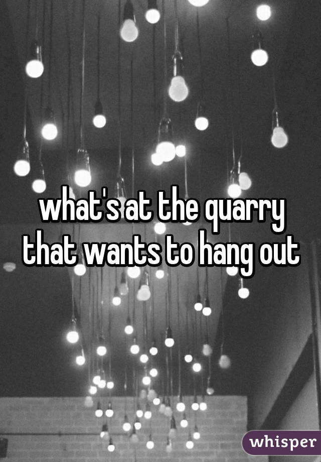 what's at the quarry that wants to hang out