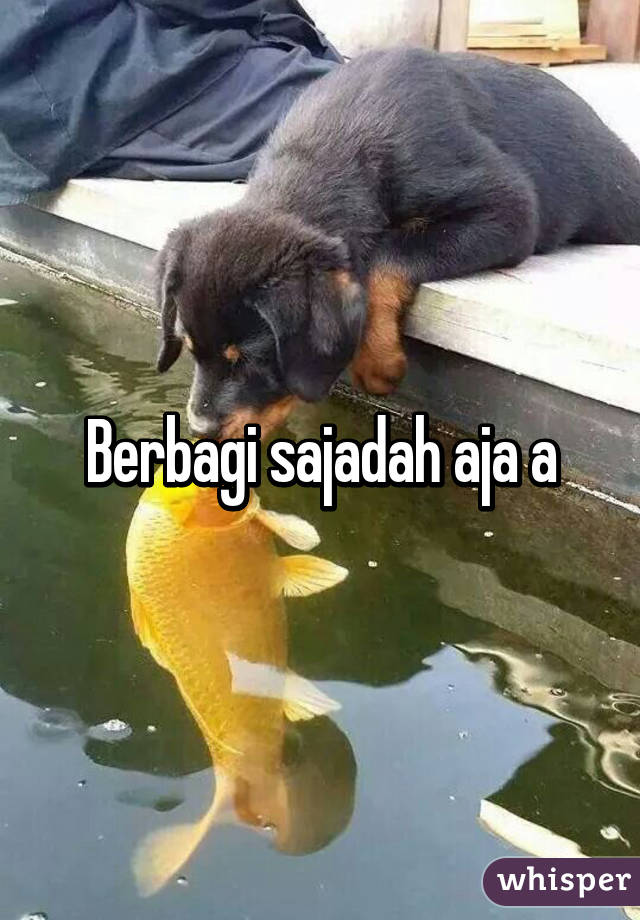 Berbagi sajadah aja a