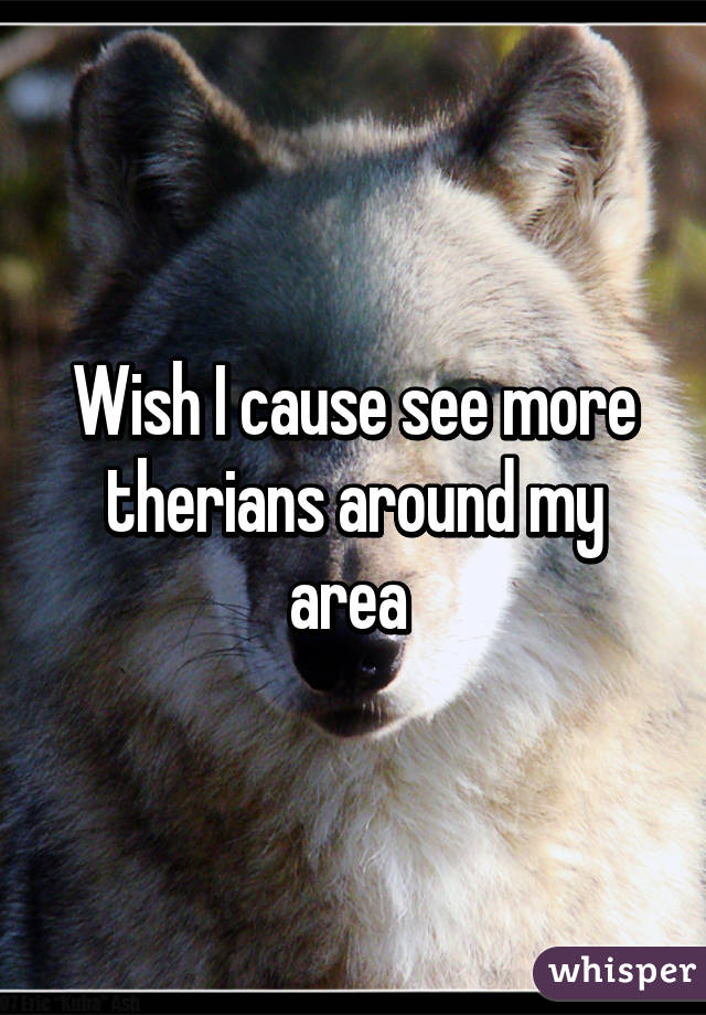 Wish I cause see more therians around my area 