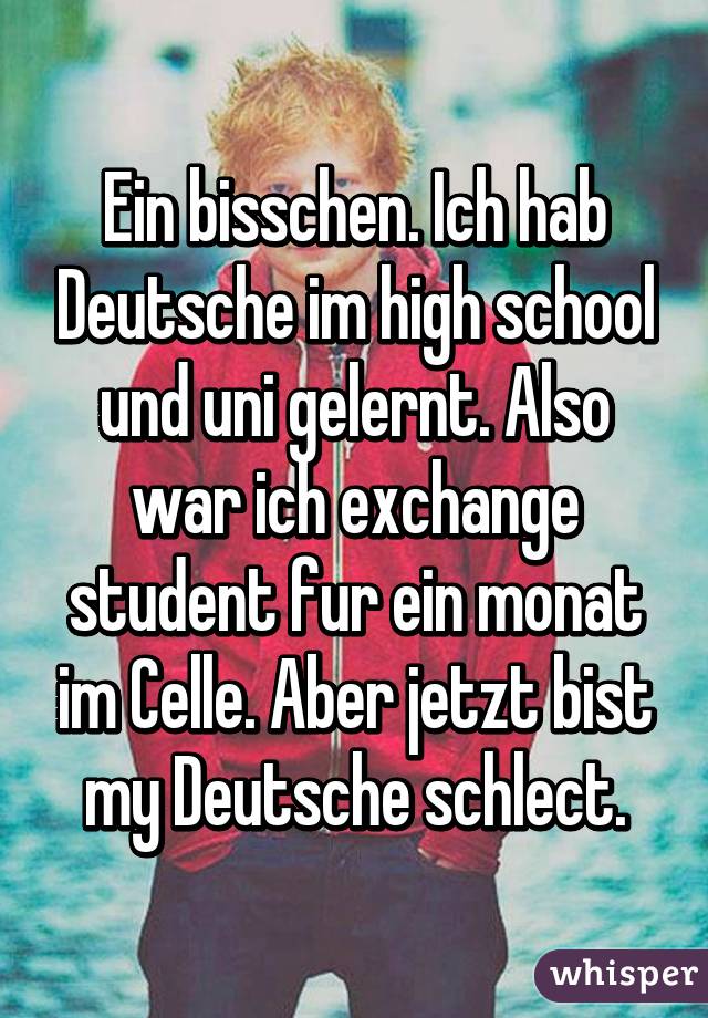 Ein bisschen. Ich hab Deutsche im high school und uni gelernt. Also war ich exchange student fur ein monat im Celle. Aber jetzt bist my Deutsche schlect.