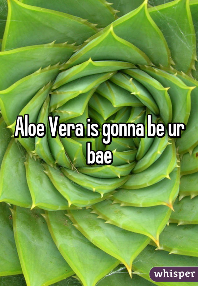 Aloe Vera is gonna be ur bae