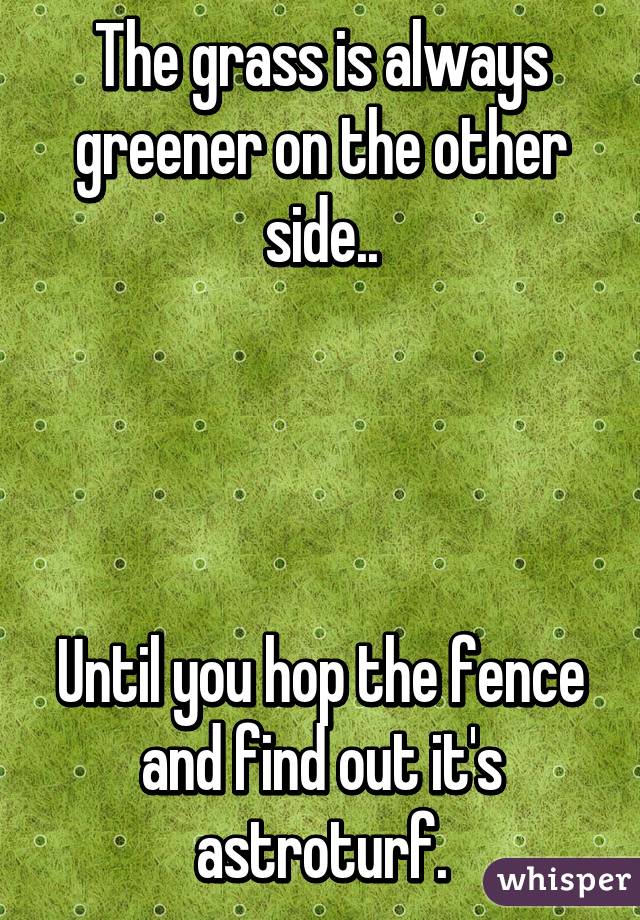 The grass is always greener on the other side..




Until you hop the fence and find out it's astroturf.