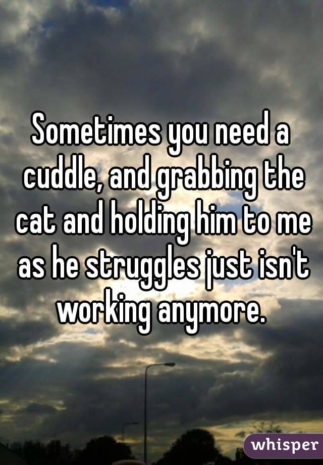 Sometimes you need a cuddle, and grabbing the cat and holding him to me as he struggles just isn't working anymore. 