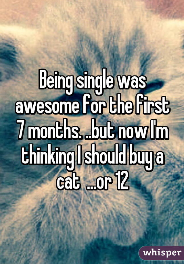 Being single was awesome for the first 7 months. ..but now I'm thinking I should buy a cat  ...or 12