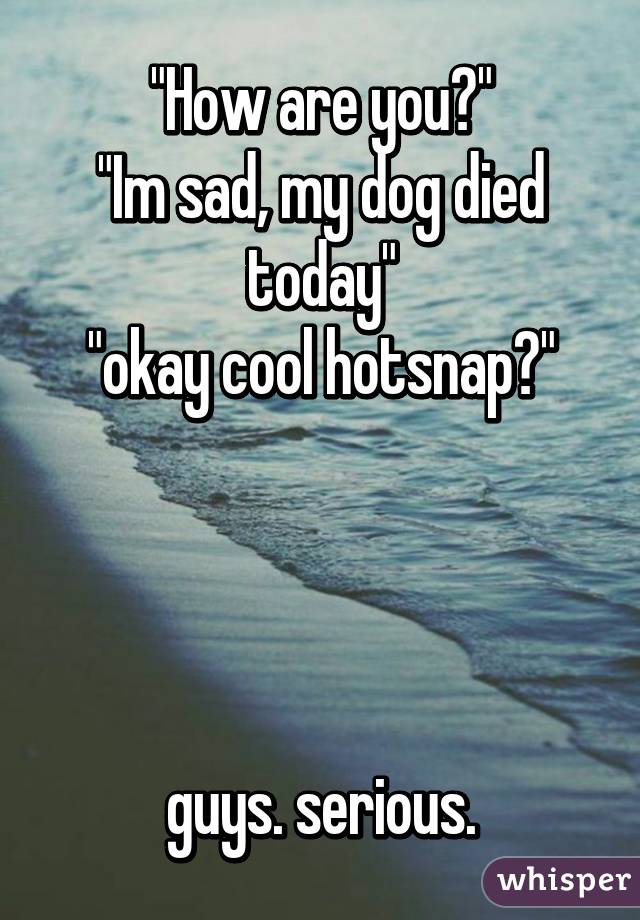 "How are you?"
"Im sad, my dog died today"
"okay cool hotsnap?"




guys. serious.