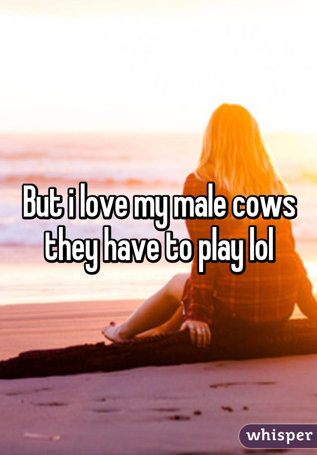 But i love my male cows they have to play lol