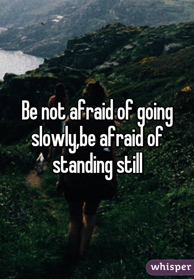 Be not afraid of going slowly,be afraid of standing still