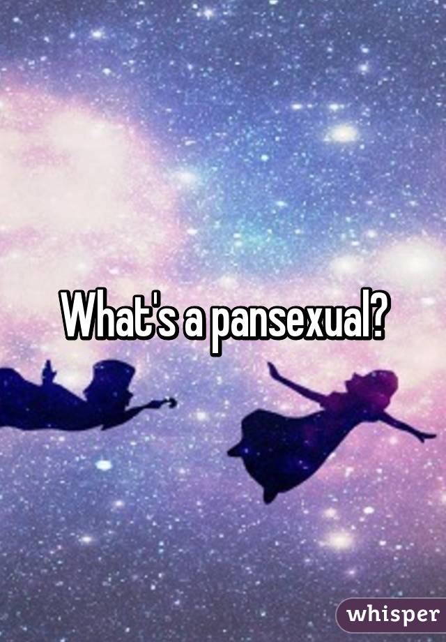 What's a pansexual?