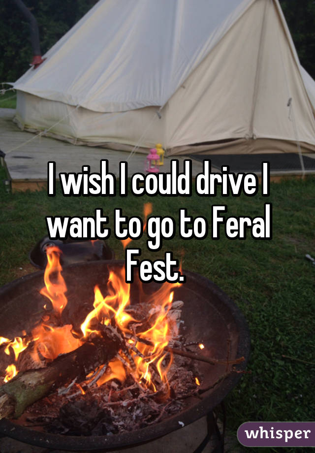 I wish I could drive I want to go to Feral Fest. 