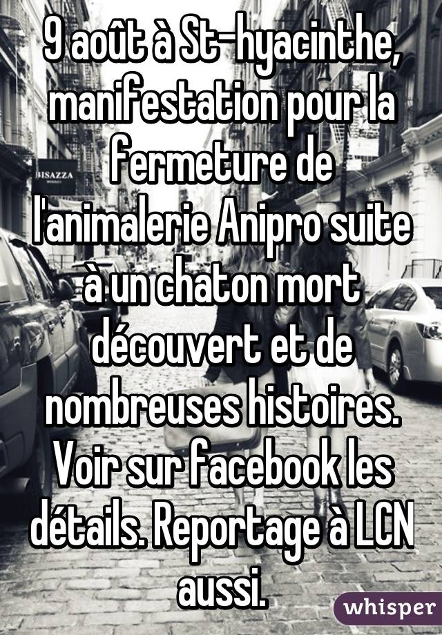 9 août à St-hyacinthe, manifestation pour la fermeture de l'animalerie Anipro suite à un chaton mort découvert et de nombreuses histoires. Voir sur facebook les détails. Reportage à LCN aussi.