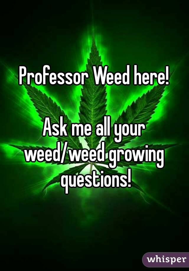 Professor Weed here!

Ask me all your weed/weed growing  questions!