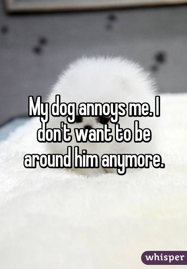 My dog annoys me. I don't want to be around him anymore.