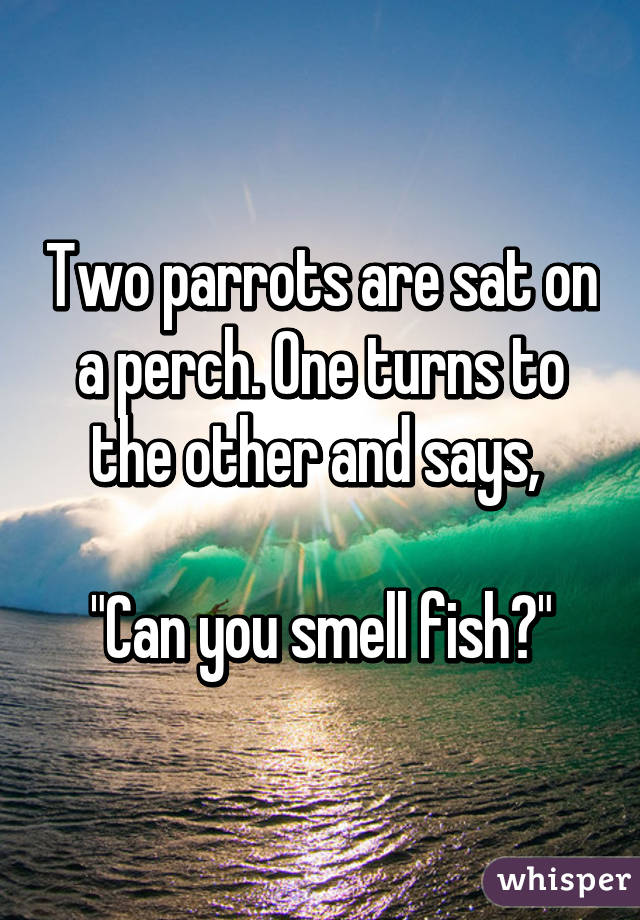 Two parrots are sat on a perch. One turns to the other and says, 

"Can you smell fish?"