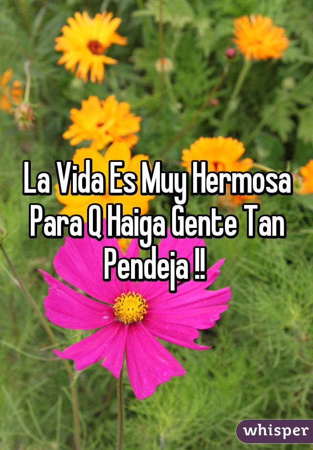 La Vida Es Muy Hermosa Para Q Haiga Gente Tan Pendeja !! 